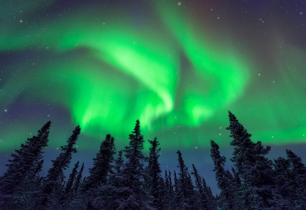 The aurora over a night sky