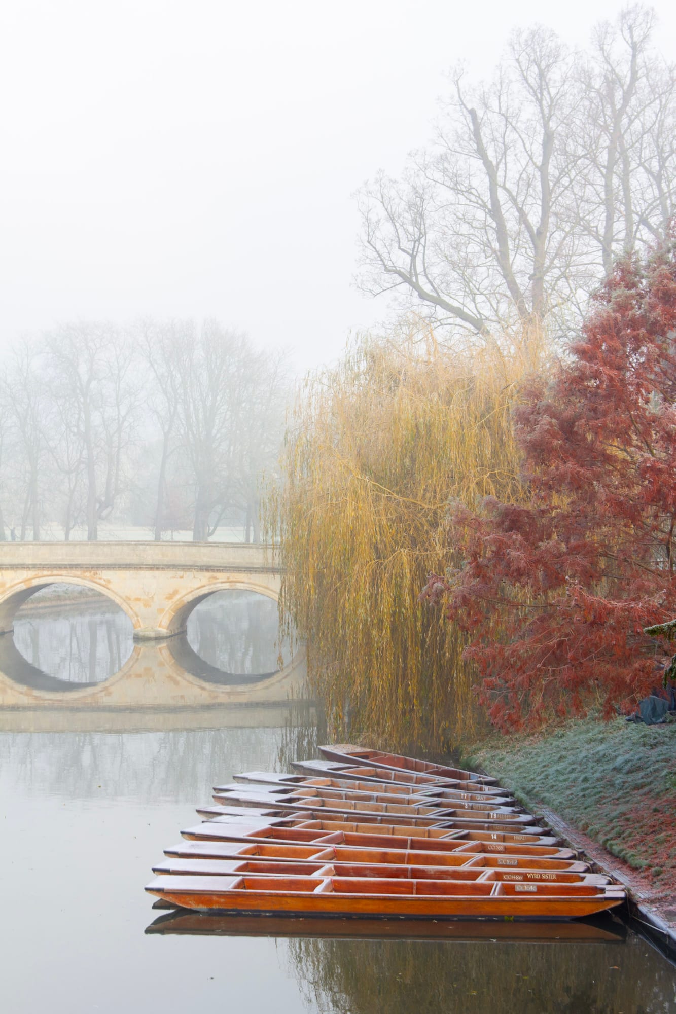Photograph by Catherine Breslin